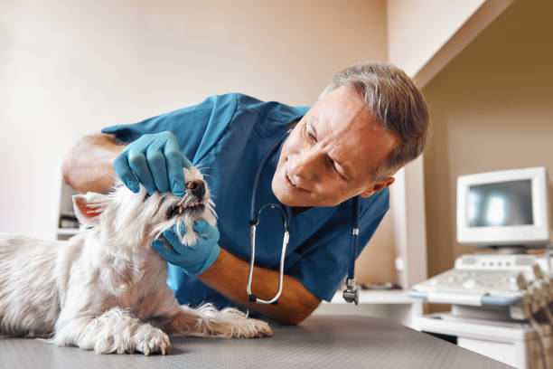 Best Emergency Tooth Extraction in Norwood, NC